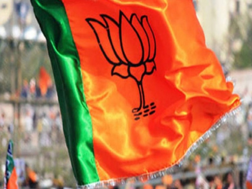 BJP prepares for Vasai-Virar municipal elections | वसई-विरार महापालिका निवडणुकांच्या पार्श्वभूमीवर भाजपकडून जोरदार तयारी