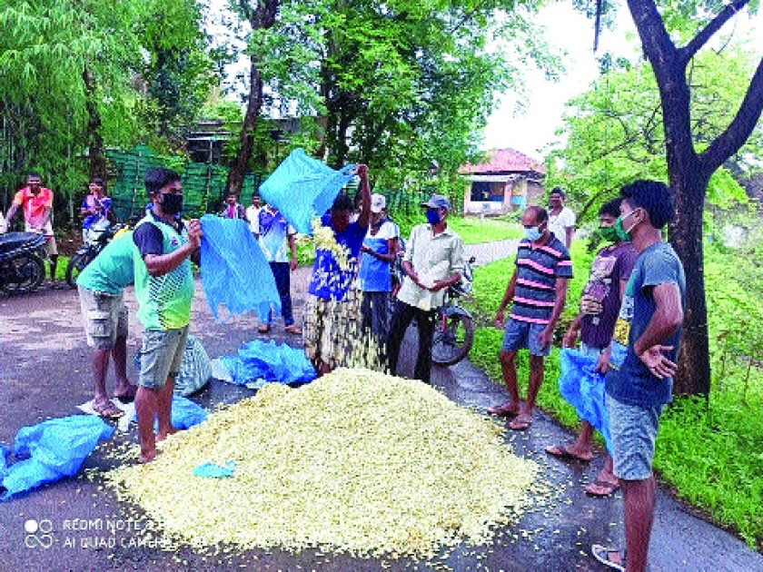 Hiramus smells of Vikramgadkar's coconut due to corona; Farmers hit due to lack of shopkeepers | कोरोनामुळे विक्रमगडकरांच्या मोगऱ्याचा सुगंध हिरमुसला; गिऱ्हाईक नसल्याने शेतकऱ्यांना फटका