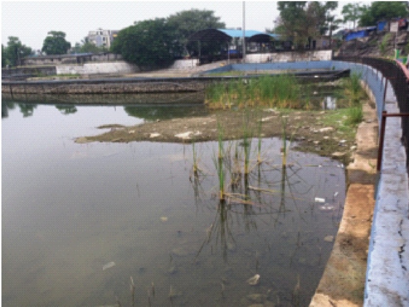 The condition of the frozen pond; Moss climbed on wells in Ghansoli, endangering the health of citizens | गोठीवलीत तलावाची दुरवस्था; घणसोलीत विहिरींवर चढले शेवाळ, नागरिकांचे आरोग्य धोक्यात