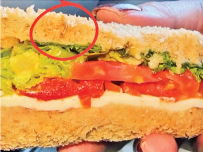 Worms in the sandwich ordered on the plane Indigo Notice of Food Security Corporation | विमानात मागविलेल्या सँडविचमध्ये अळी! अन्नसुरक्षा महामंडळाची इंडिगोला नोटीस