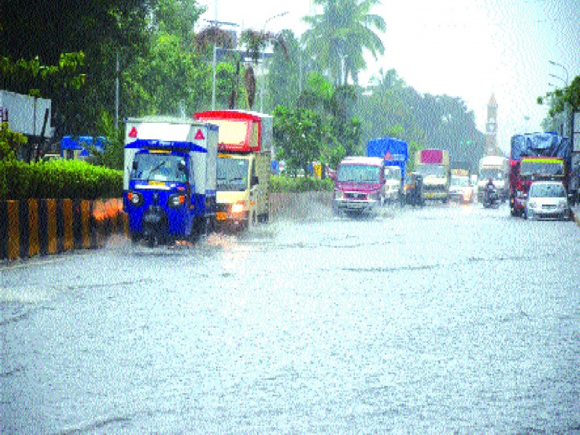 Continuous rains in Navi Mumbai; Stagnant water | नवी मुंबई शहरात पावसाची संततधार; ठिकठिकाणी साचले पाणी