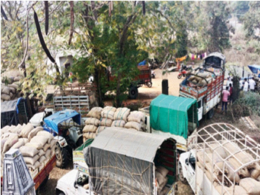 Purchase of paddy worth Rs. 14 crore 90 lakhs in Shahapur taluka; Arrival of a large number of vehicles | शहापूर तालुक्यात १४ कोटी ९० लाखांची भातखरेदी; मोठ्या संख्येने गाड्यांची आवक 