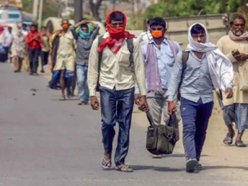 13 thousand 964 migrant laborers found in Palghar district; Team visits to 173 places | पालघर जिल्ह्यामध्ये आढळले १३ हजार ९६४ स्थलांतरित मजूर;  १७३ ठिकाणांना पथकांच्या भेटी