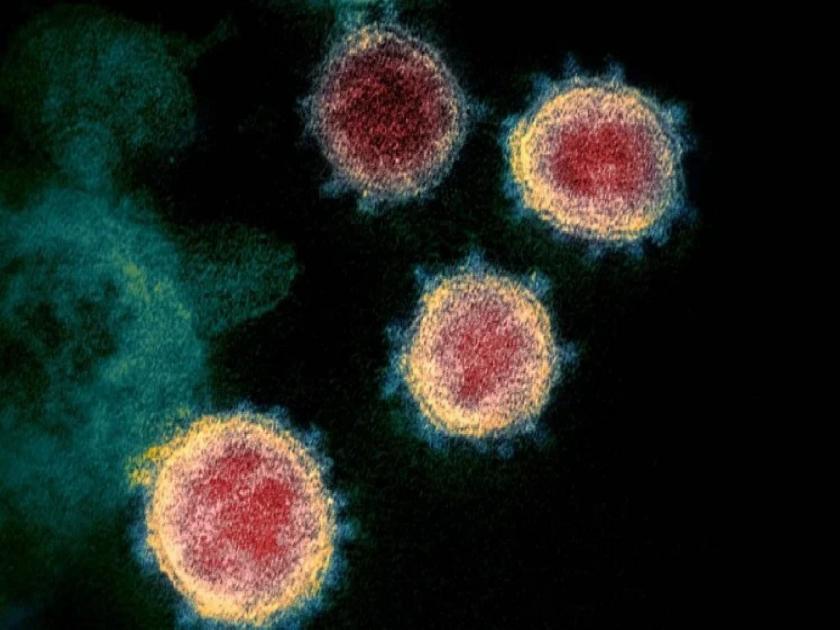 Coronavirus: New Varient Of Coronavirus Found In Britain | Coronavirus: ब्रिटनमध्ये कोरोना व्हायरसचा ‘नवा प्रकार’ आढळला; दक्षिण पूर्व भागात वेगाने होतंय संक्रमण