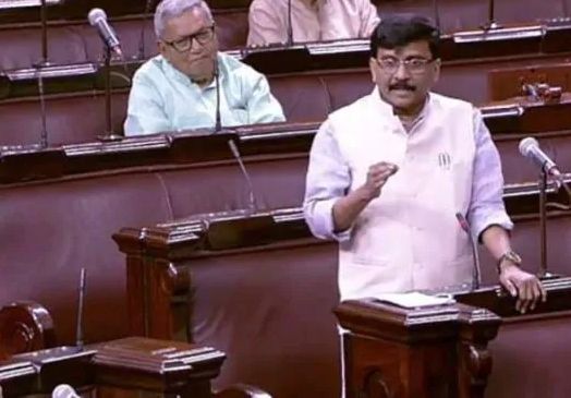 egg vegetarian ?, Parliament MP Sanjay Raut says about eggs and cock | अंडी शाकाहरी की मांसाहरी?, संसदेत खासदार संजय राऊतांचं कोंबडीपुराण
