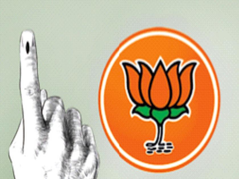 in bjp maharashtra lok sabha election 2024 candidate list 8 people are from political families | भाजपाच्या राज्यातील यादीत ८ जण राजकीय कुटुंबातले; अष्टकामुळे घराणेशाहीची चर्चा