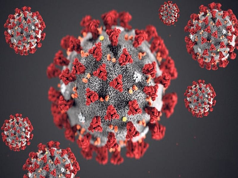 where did the corona virus come from in the world American scientists got evidence of connection sna | जगात कुठून आला कोरोना व्हायरस? वैज्ञानिकांना मिळाला मोठा पुरावा