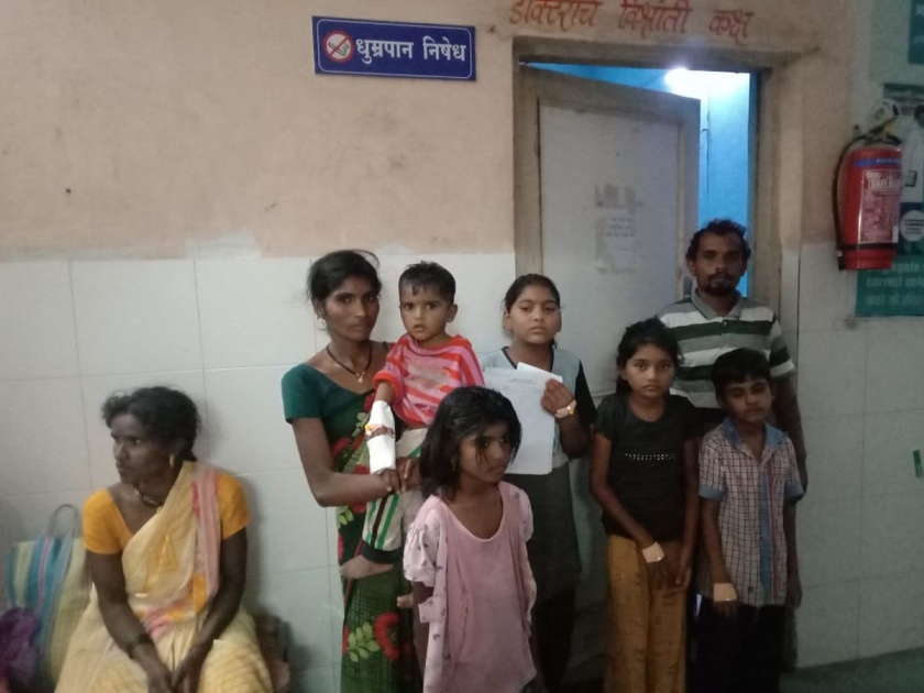 Nine children poisoned by eating Chandrajyoti seeds Incident at Kunda in Malkapur Taluk | चंद्रज्याेतीच्या बिया खाल्ल्याने नऊ मुलांना विषबाधा; मलकापूर तालुक्यातील कुंडा येथील घटना