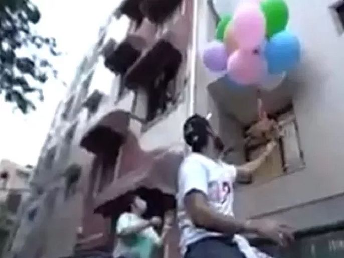 Delhi youtuber gaurav john arrested for dog with air balloon | VIDEO : Hydrogen गॅस असलेल्या फुग्यांना बांधून डॉगीला उडवलं, यू-ट्यूबर Gaurav John ला अटक