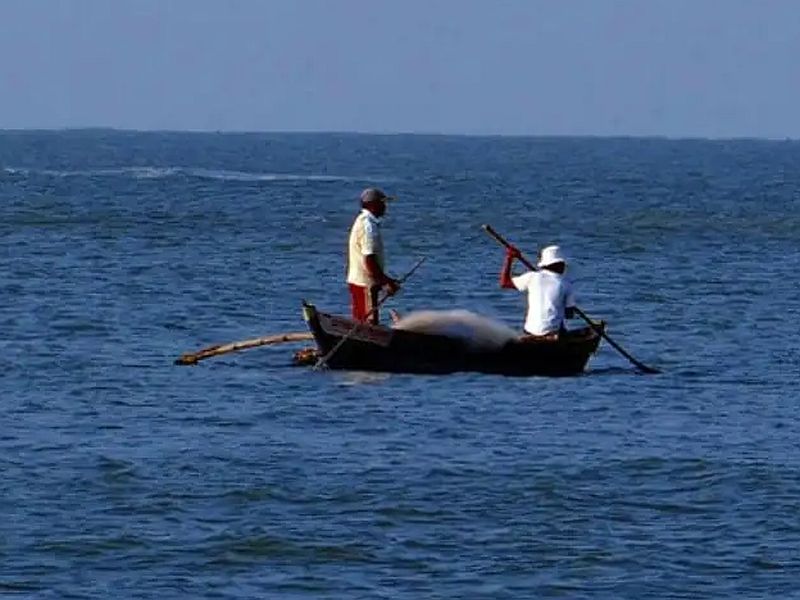 13-15 boats sunk in the sea due to bad weather and heavy rains in gujarat many fishermen missing | Fishermen Missing : गुजरातमधील गीर सोमनाथ समुद्रात मोठा अपघात, वादळामुळे 15 बोटी बुडाल्या; अनेक जण बेपत्ता