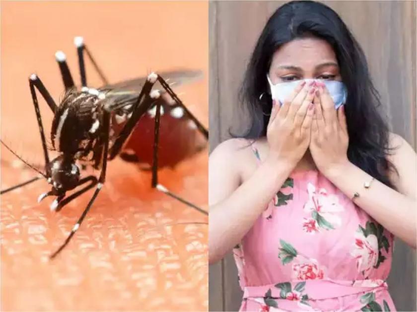Along with malaria, dengue continues to haunt Mumbaikars, gastro is also on the rise In 'October Hit' | मलेरियासह डेंग्यू मुंबईकरांचा पिच्छा सोडेना, गॅस्ट्रोही वाढतोय; ‘ऑक्टोबर हिट’चा धोका!