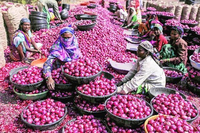Onion prices down From 10 thousand to 7 thousand | कांद्याचे भाव झाले कमी; १० हजारांवरून ७ हजारांवर