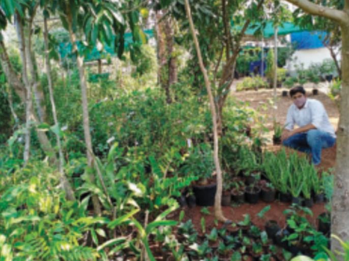 The amount of herbs is beneficial for boosting immunity, the tendency of citizens of Raigad district to get rid of corona | प्रतिकारशक्ती वाढविण्यासाठी वनाैषधींची मात्रा लाभदायी, रायगड जिल्ह्यातील नागरिकांचा कोरोनापासून मुक्ती देण्यासाठी कल