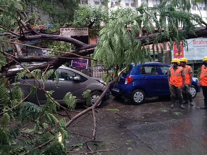 In Thane Trees were uprooted in 13 places due to heavy rains, damage to many vehicles and houses | वाऱ्यासह झालेल्या पावसात १३ ठिकाणी वृक्ष उन्मळले; अनेक वाहनांचे, घरांचे नुकसान                