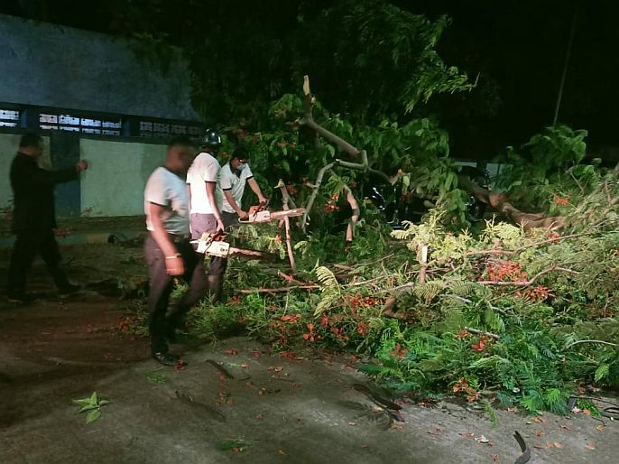 The district administration announced the information about damage due to Tauktae cyclone | "ताउत्के" चक्रीवादळामुळे  झालेल्या नुकसानीची माहिती जिल्हा प्रशासनाने केली जाहीर