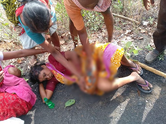 A woman who went to collect tendu leaves was seriously injured in a tiger attack. | तेंदूपत्ता संकलनासाठी गेलेली महिला वाघाच्या हल्ल्यात गंभीर जखमी, सोबतच्या महिलांमुळे वाचला जीव