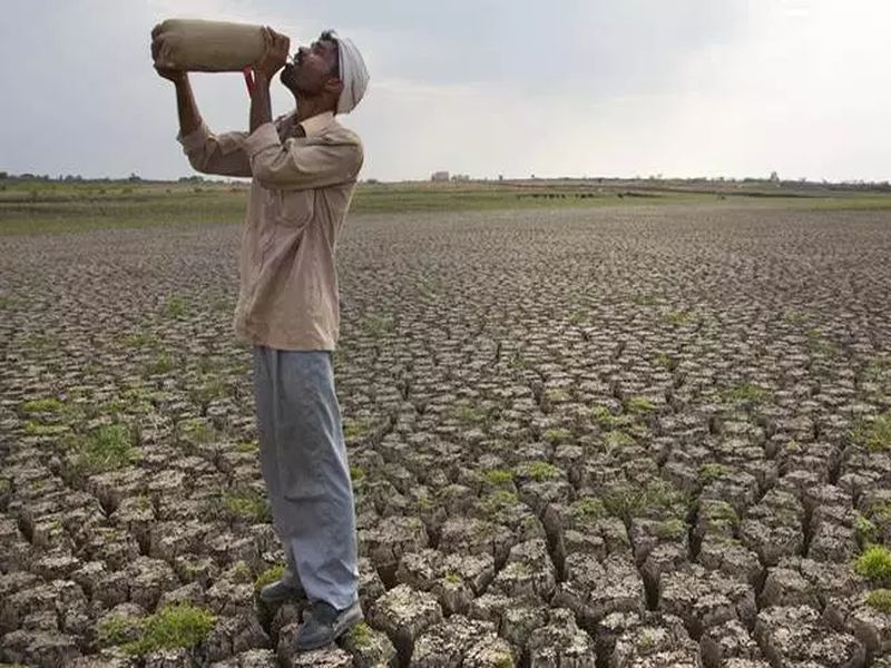 Drought demanded Rs 5 crore for 8 villages, 8 lakh farmers were affected in vidarbh | दुष्काळी ३,४२७ गावांसाठी ७४१ कोटींची मागणी, आठ लाख शेतकरी बाधित
