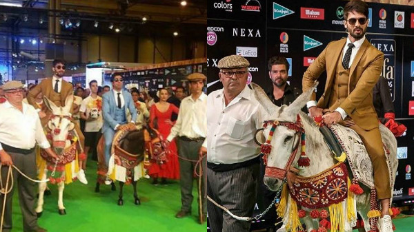 Finally Shahid Kapoor on the donkey? | ​शेवटी गाढवावर का बसला शाहिद कपूर ?