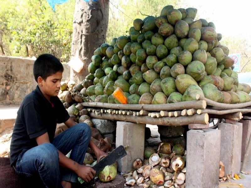 Coconut imports from Sri Lanka are back from Goa | श्रीलंकेतून नारळ आयातीचा निर्णय गोव्याकडून मागे