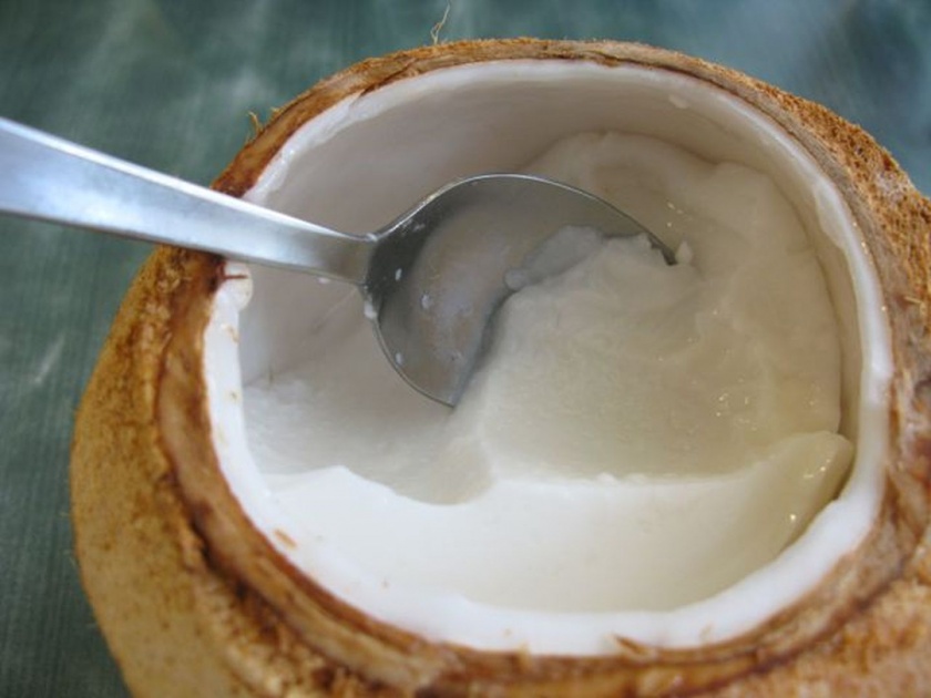 Know eating benefits of coconut meat or naralachi malai | नारळातील मलाई अनेकदा खाल्ली असेल, पण हे फायदे माहीत आहे का?