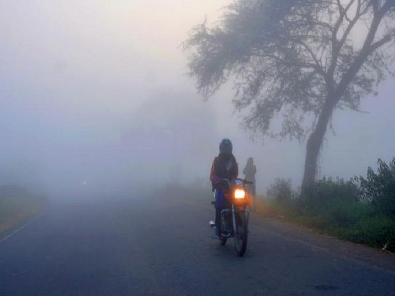 Hudhudi to Aurangabadkar; Seasonal low of @ 8.8 degrees Celsius | औरंगाबादकरांना हुडहुडी; मोसमातील नीचांकी तापमान @ ८.८ अंश सेल्सिअस