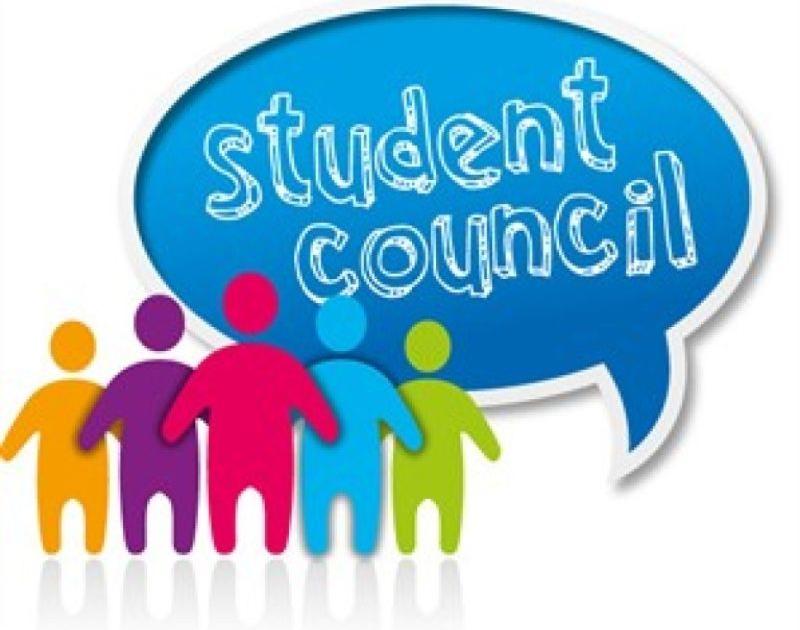 University, College Student Council Election on September 4 | विद्यापीठ, महाविद्यालय विद्यार्थी परिषद निवडणूक ४ सप्टेंबरला