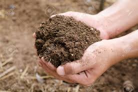 Compost fertilizers are prepared by the municipality | नगरपालिकाच तयार करतेय कंपोस्ट खत; दरमहा ६ ते ७ टन खताची निर्मिती