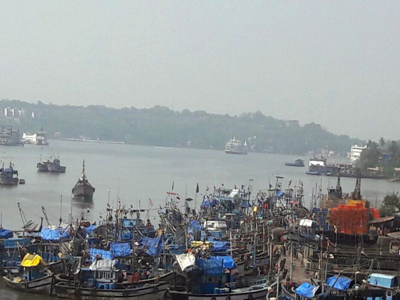 Mandvi river pollution free! | मांडवी नदी होणार प्रदूषणमुक्त