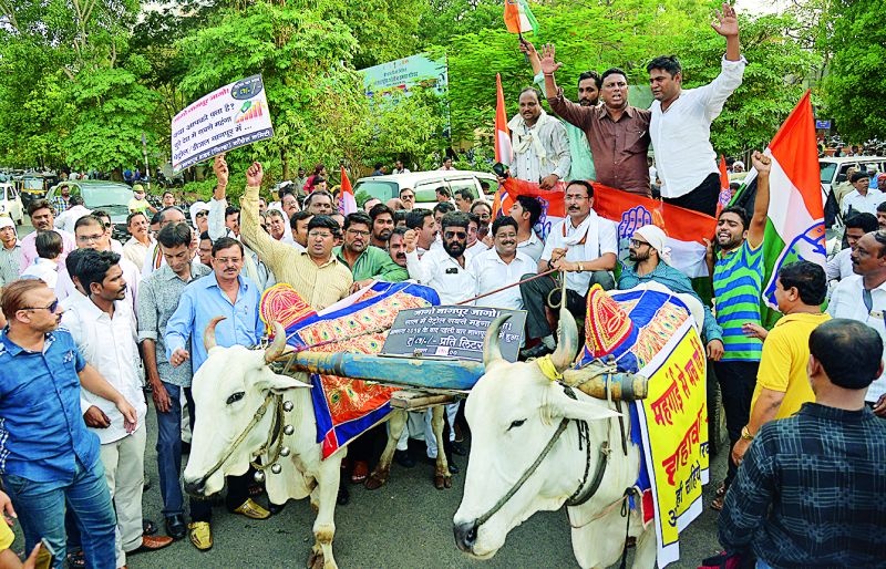 Congress bullock cart rally against inflation in Nagpur | नागपुरात महागाई विरोधात काँग्रेसचा बैलगाडी मोर्चा 