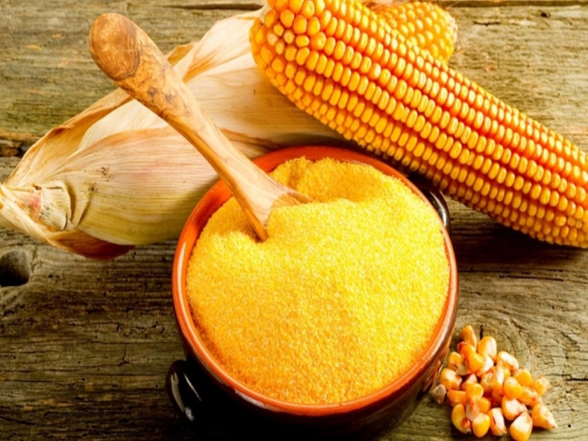 Corn flour is very beneficial for health eat corn flour and get these 5 health benefits | मक्याप्रमाणेच मक्याचं पीठही आरोग्यदायी; 'या' 5 समस्यां करतं दूर 