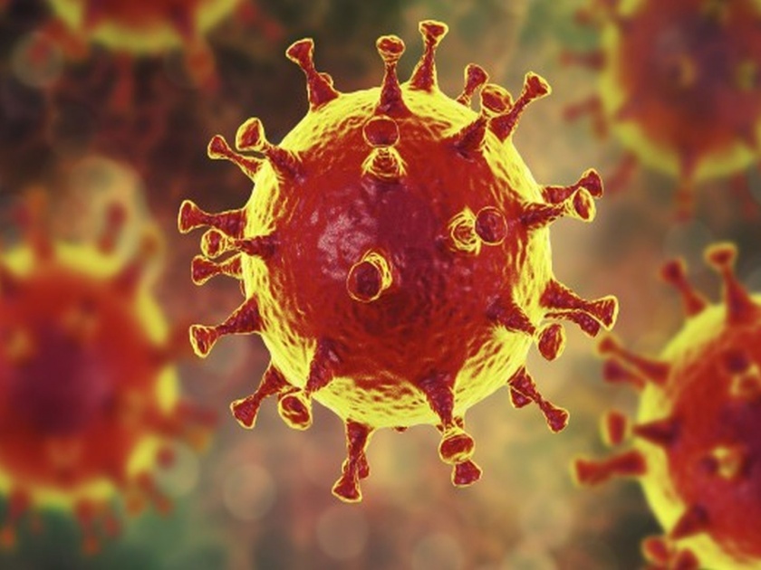 CoronaVirus News: Today is the day of viruses like corona | CoronaVirus News: आज कोरोनासारख्या विषाणूंचा दिवस