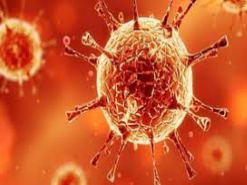 Corona virus : Ambegaon taluka becomes a red zone; 15 patients were found in a single day in the taluka | Corona virus : आंबेगाव तालुका होतोय रेड झोन; तालुक्यात एकाच दिवसात आढळले १५ रुग्ण 