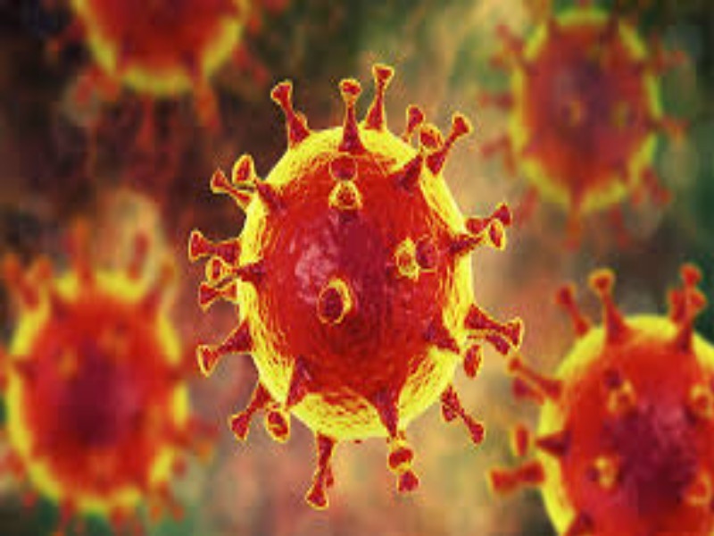 coronavirus: Aurangabad 8882; An increase of 68 more infected patients | coronavirus : औरंगाबाद @ ८८८२; आणखी ६८ बाधीत रुग्णांची वाढ