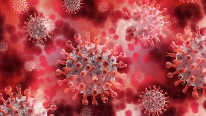 Corona virus in Nagpur: Corona virus outbreak, 6,589 new patients added | CoronaVirus in Nagpur : कोरोनाचा धुमाकूळ, ६,५८९ नव्या रुग्णांची भर