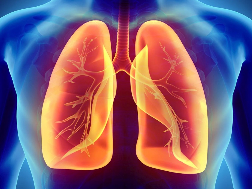 CoronaVirus News How To Check Your Lungs Fitness If You Have Covid 19 Symptoms | CoronaVirus News: तुमची फुफ्फुसं किती सक्षम?; घरच्याघरी तपासून पाहण्यासाठी वापरा सोपी ट्रिक