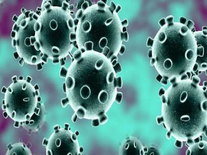 coronavirus: US media claim Corona virus spread from that lab in Wuhan BKP | coronavirus : वुहानमधील त्या लॅबमधून अशा प्रकारे पसरला कोरोना, अमेरिकी माध्यमांचा दावा