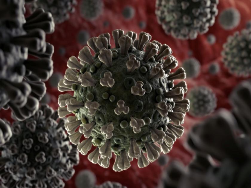 new Strain Of Coronavirus found in britain Understand How Much Dangerous it is | CoronaVirus News: कोरोनाचा आणखी एक नवा स्ट्रेन सापडला; जाणून घ्या धोका किती वाढला