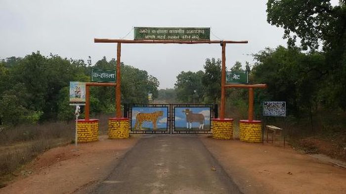 Vigilance for Corona: 5 tiger project in Vidarbha and 3 sanctuaries closed | कोरोनासाठी दक्षता :  विदर्भातील ५ व्याघ्र प्रकल्प आणि ३ अभयारण्ये राहणार बंद