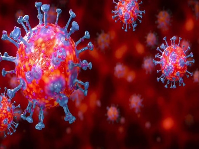Corona virus: ay-12 form of corona detected concern of scientists increased? | Corona virus : कोरोनाचा नवीन AY.12 व्हेरिएंट? शास्त्रज्ञांची चिंता वाढली 
