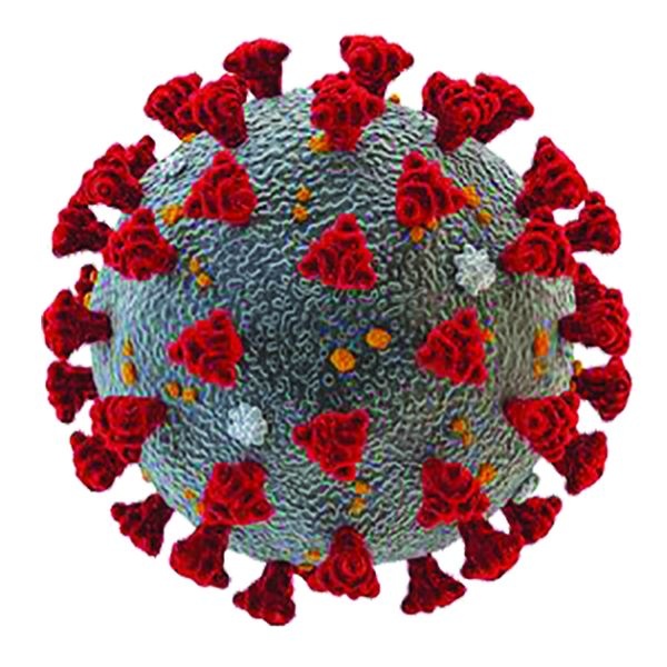 Corona virus in Nagpur: 1 in Nagpur city and 2 in rural areas | CoronaVirus in Nagpur : नागपूर शहरात १ तर, ग्रामीणमध्ये २ मृत्यू