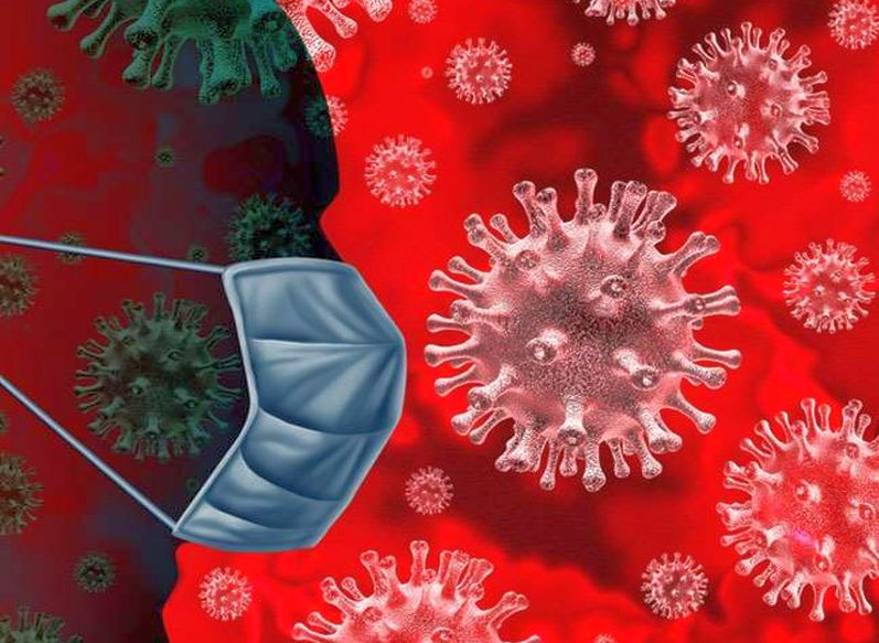 coronavirus: Coronavirus infection from animals, not from labs, World Health Organization findings clean chit to China | coronavirus: लॅबमधून नव्हे, तर प्राण्यांमधून कोरोनाचा संसर्ग, जागतिक आरोग्य संघटनेच्या निष्कर्षातून चीनला क्लीन चिट