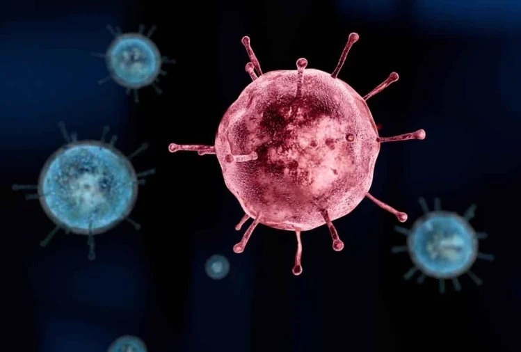 coronavirus: 28 more coronavirus cases in Hingoli; The condition of 6 patients is critical | coronavirus : हिंगोलीत आणखी २८ कोरोनाबाधितांची वाढ; ६ रुग्णांची प्रकृती चिंताजनक
