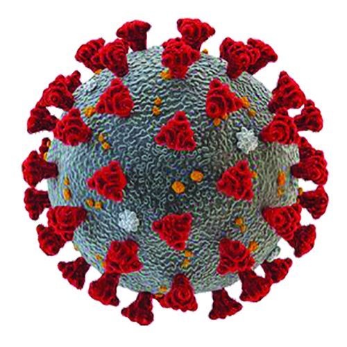Coronavirus in Nagpur: Infection rate in the district is 0.42 percent | CoronaVirus in Nagpur : जिल्ह्यात संक्रमण दर ०.४२ टक्के