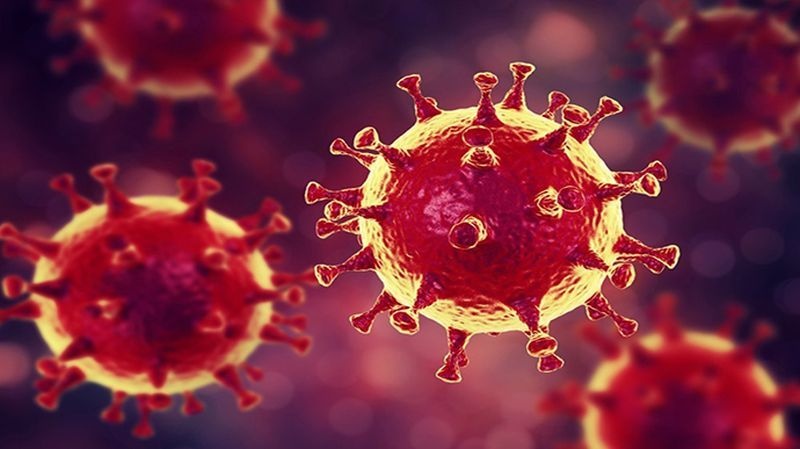CoronaVirus in Nagpur: 11.86 per cent corona infected compared to tests | CoronaVirus in Nagpur :  चाचण्यांच्या तुलनेत ११.८६ टक्के कोरोनाबाधित