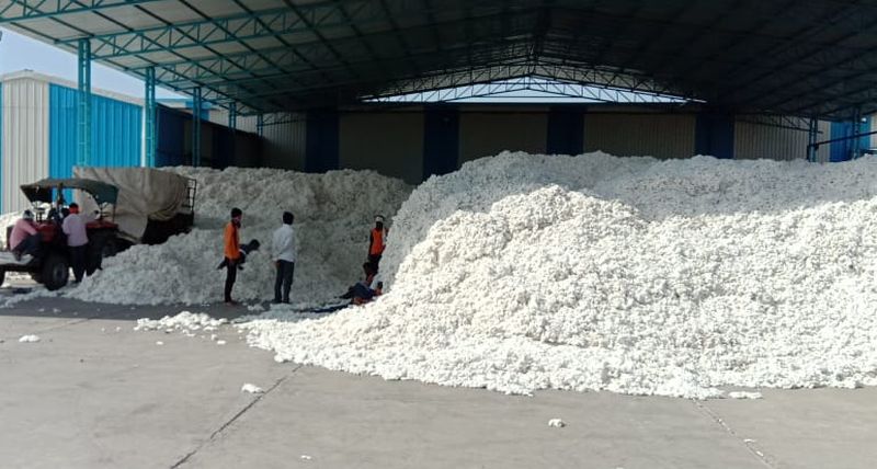 So far 9.82 lakh quintals of cotton has been procured in Akola district | अकोला जिल्ह्यात आतापर्यंत ९.८२ लाख क्विंटल कापूस खरेदी