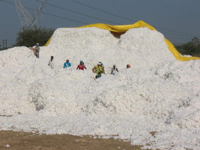 Text of farmers to cotton shopping center | कापूस खरेदी केंद्राकडे शेतकऱ्यांची पाठ