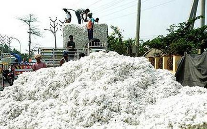 Procurment of 47 lakh Quintal cotton | ‘पणन’ने केली ४७ लाख विक्रमी कापूस खरेदी
