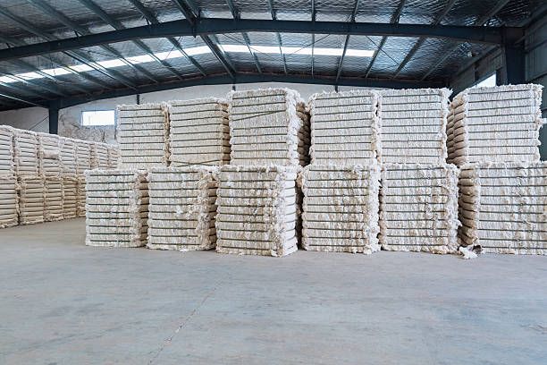 Now, instead of 'bales', cotton will be traded in 'Khandi' in the futures market | आता वायदे बाजारात कापसाचे ‘गाठीं’ऐवजी ‘खंडी’त होणार व्यवहार