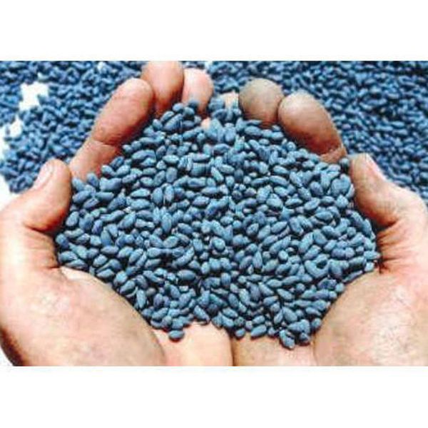 16 lakh bogus cotton seeds seized in Chandrapur | चंद्रपुरात १६ लाखांचे बोगस कापूस बियाणे जप्त