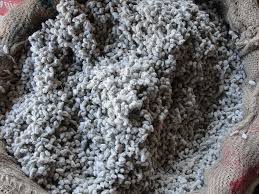 Rate of cotton seed slashed due to declining demand | मागणी घटल्याने घसरले सरकीचे भाव